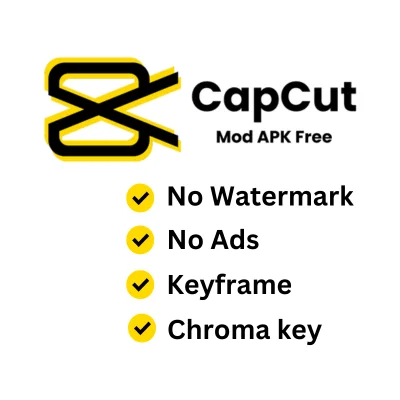 Importance of CapCut