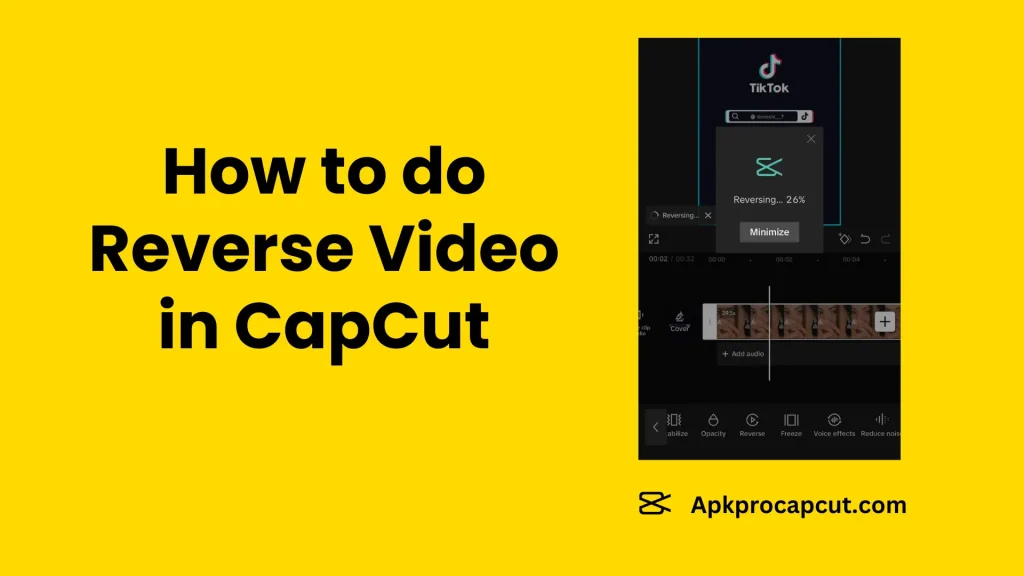 Reverse Video on CapCut